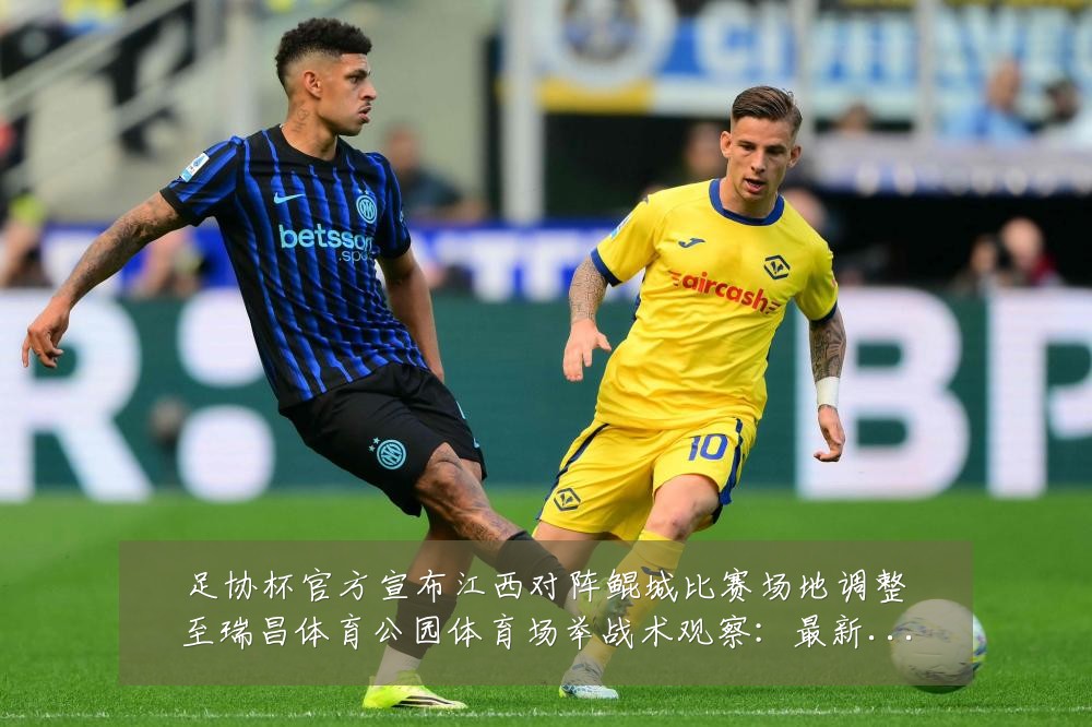 足协杯官方宣布江西对阵鲲城比赛场地调整至瑞昌体育公园体育场举战术观察:最新赛事动态与深度分析